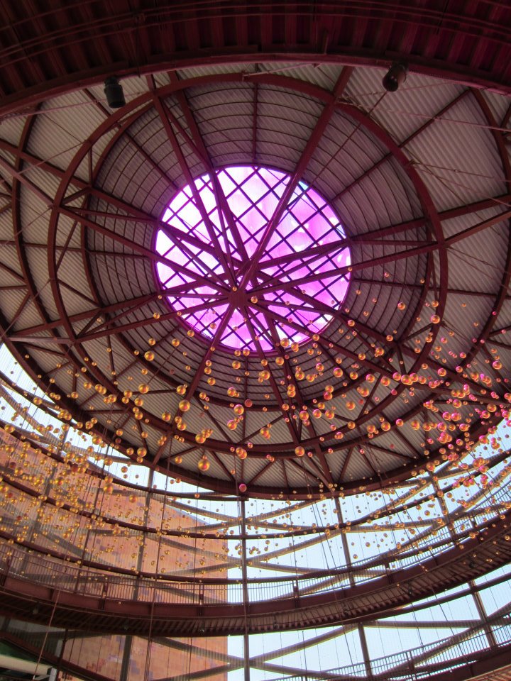 11_562623_3819087162638_1474874379_n