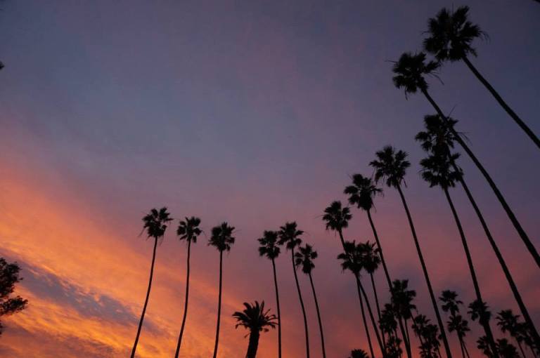 05_10922553_10205828525099258_6027030461146276387_n