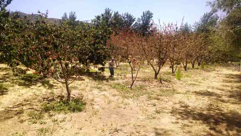 01_2014-05-31 14.12.21_lr