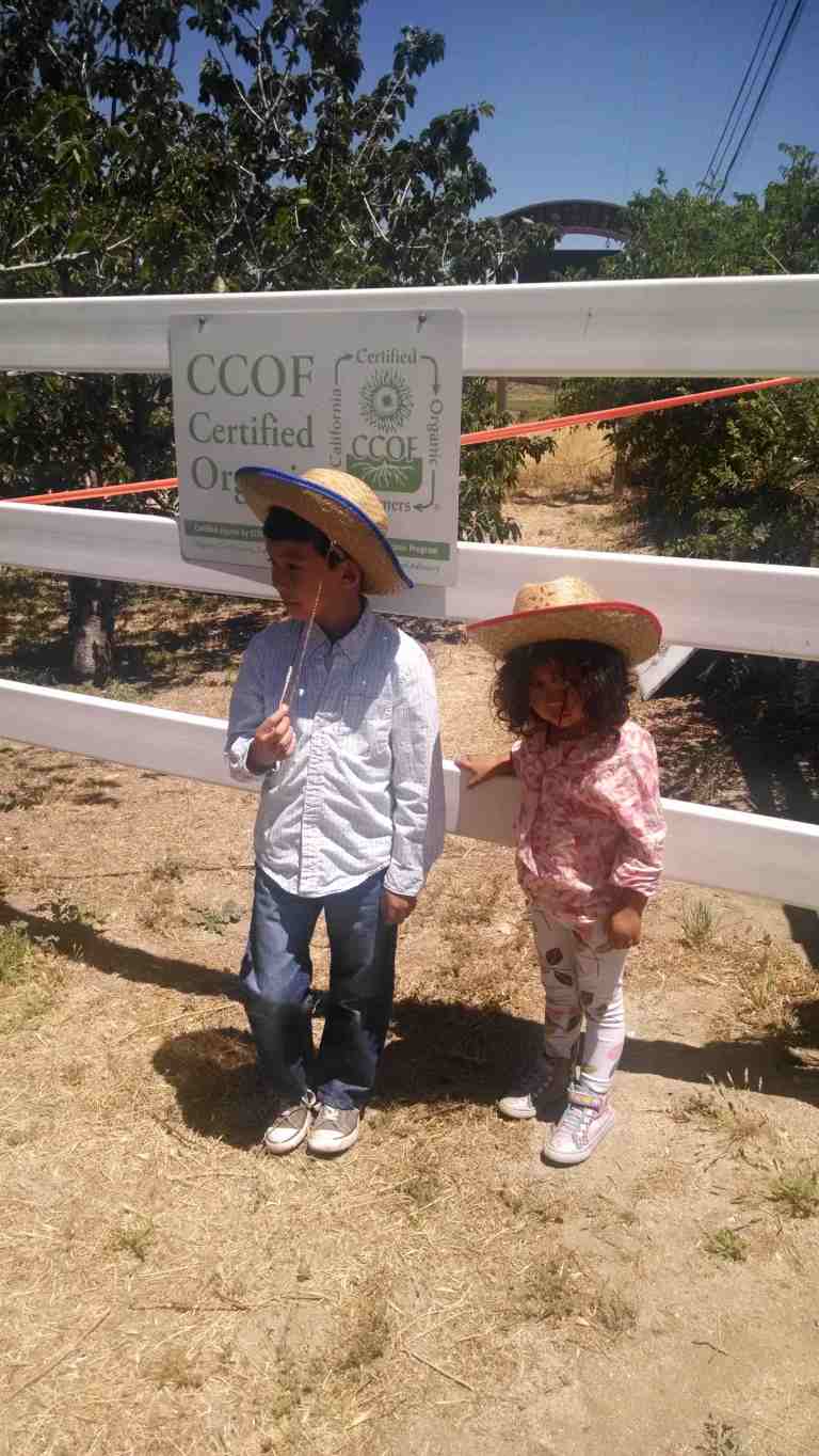 02_2014-05-31 13.35.42_lr