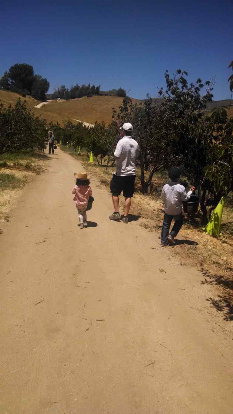 04_2014-05-31 13.39.28_lr