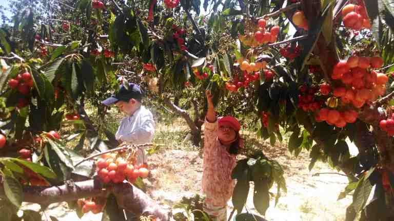 05_2014-05-31 13.54.00_lr