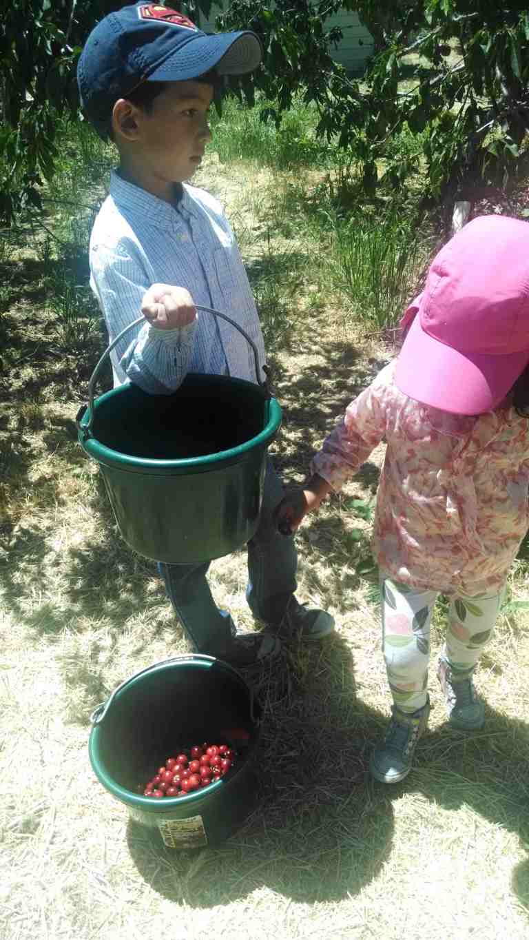 06_2014-05-31 13.53.21_lr