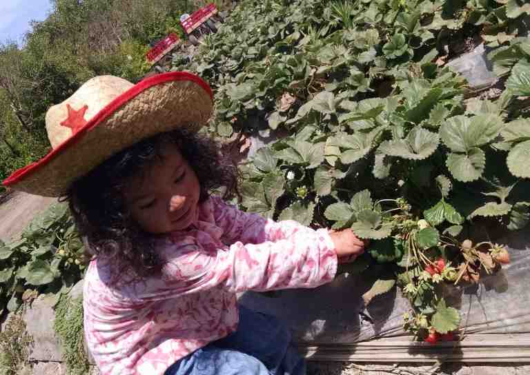 2014-06-20-11-04-49_lr