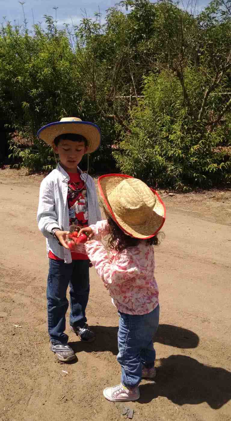 2014-06-20-11-05-50_lr