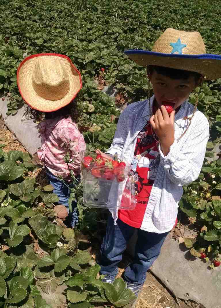 2014-06-20-11-09-19_lr