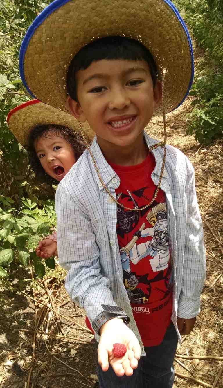 2014-06-20-11-22-10_lr