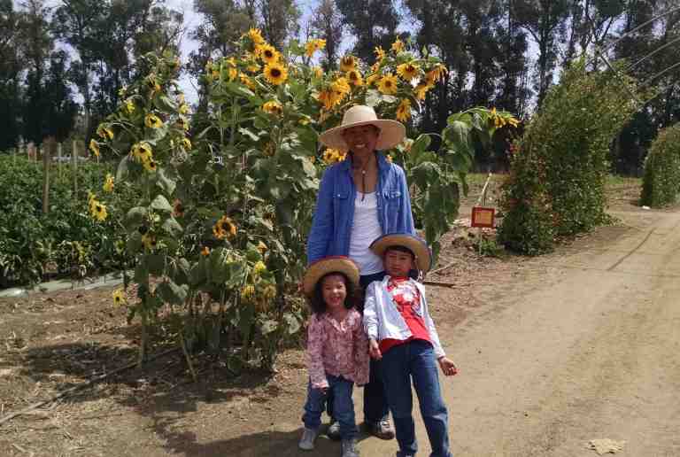 2014-06-20-11-29-44_lr