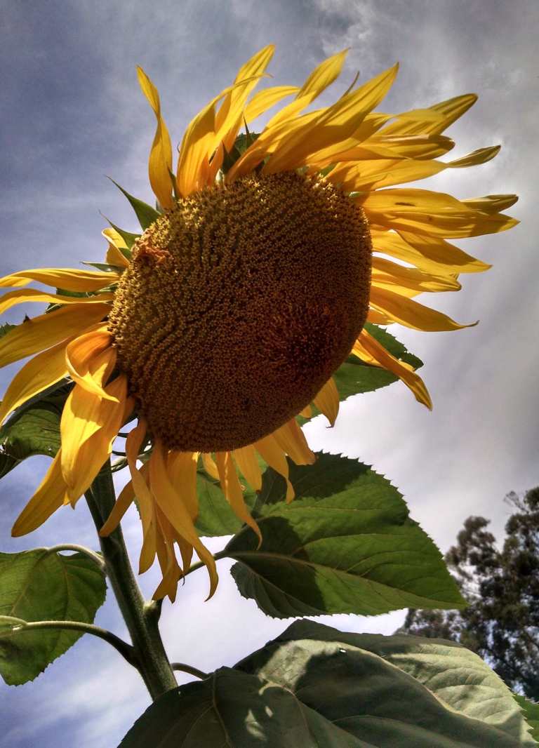 2014-06-20-11-30-55_lr