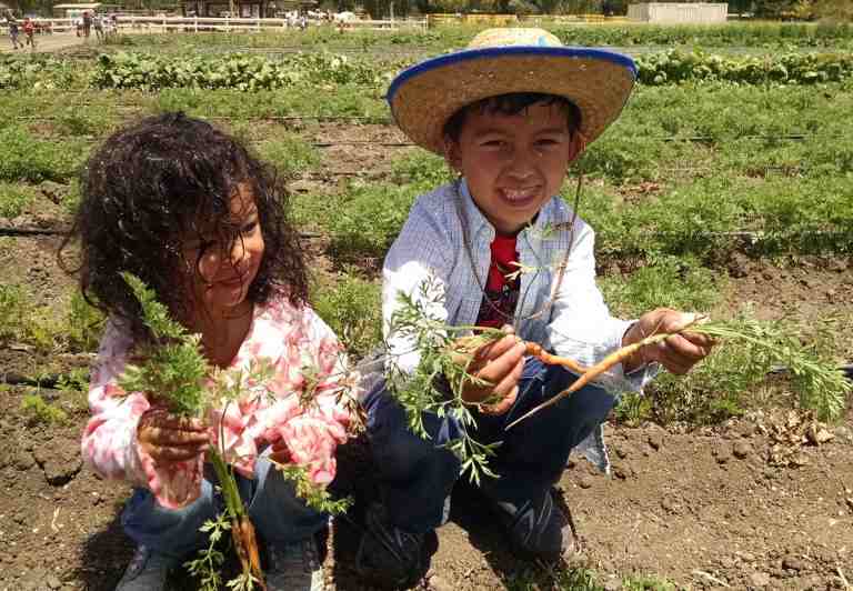 2014-06-20-12-00-50_lr