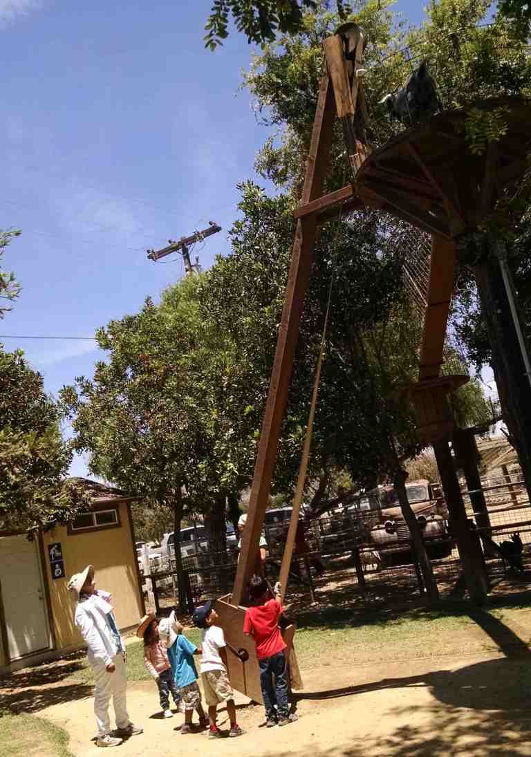 2014-06-20-13-12-18_lr