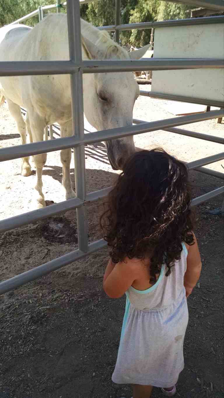 08_2014-09-25 12.51.50