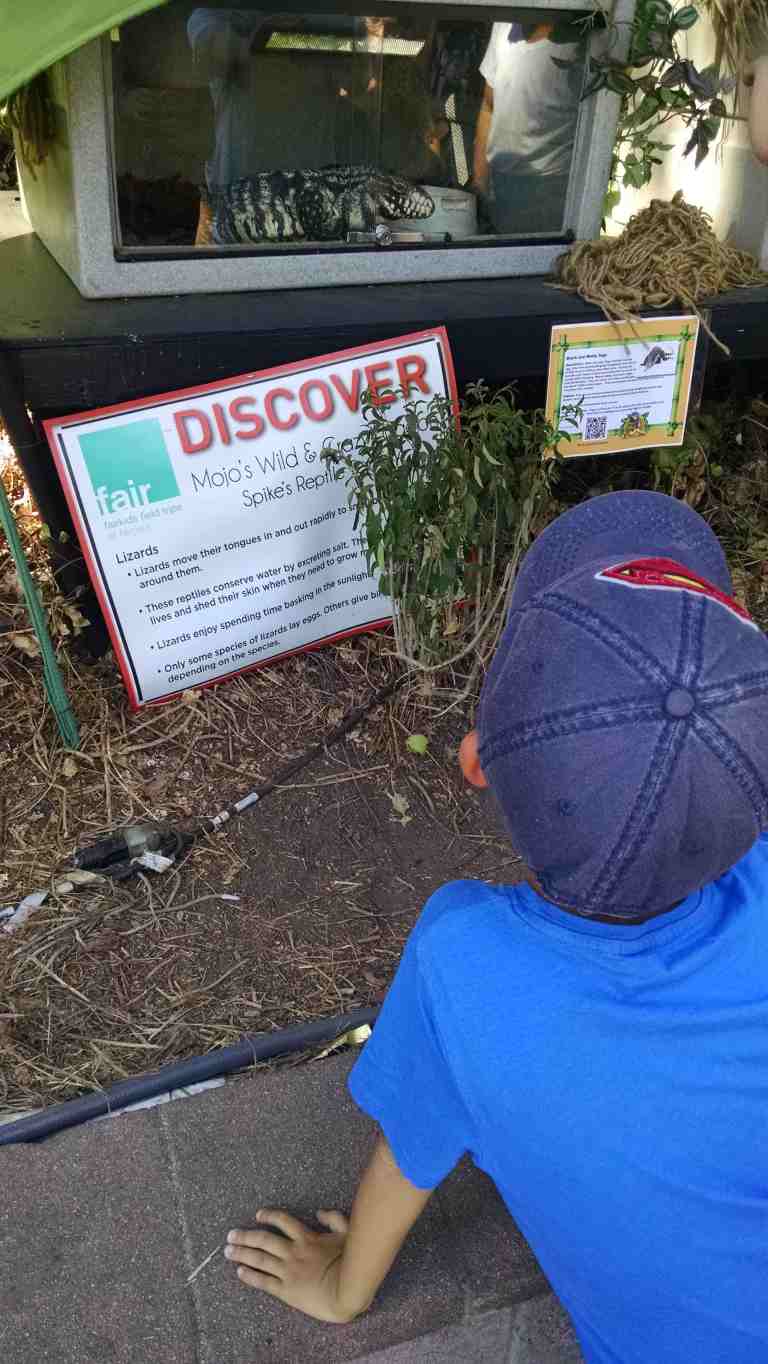 17_2014-09-25 13.37.17