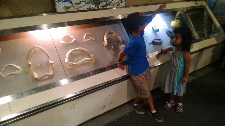 19_2014-09-25 15.21.36