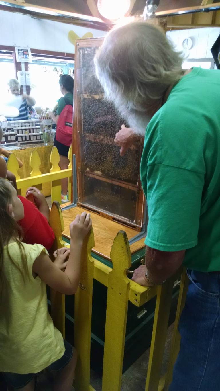 22_2014-09-25b 12.02.27