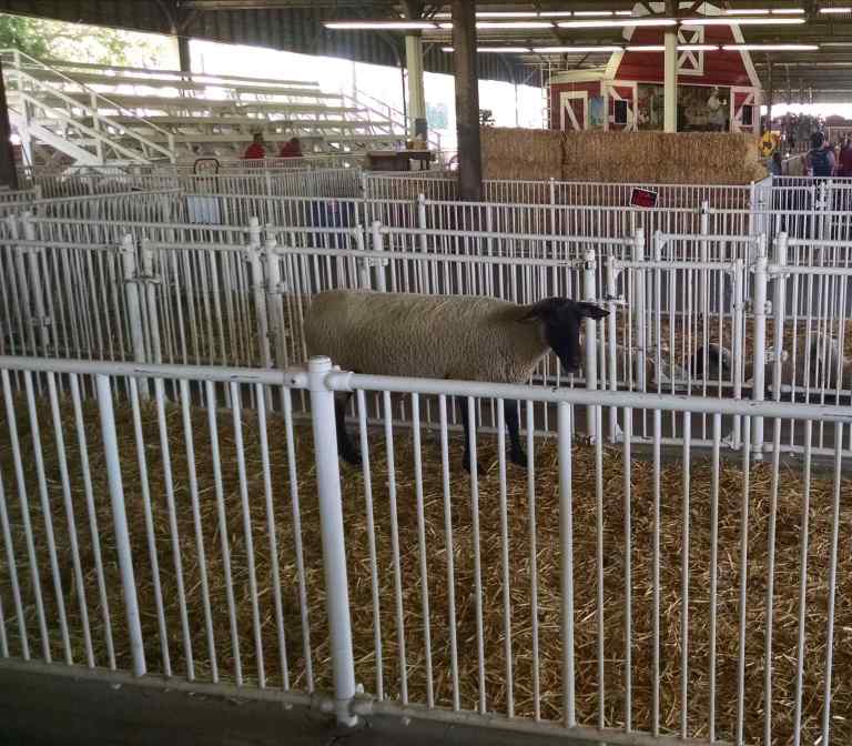 24_2014-09-25b 12.14.20