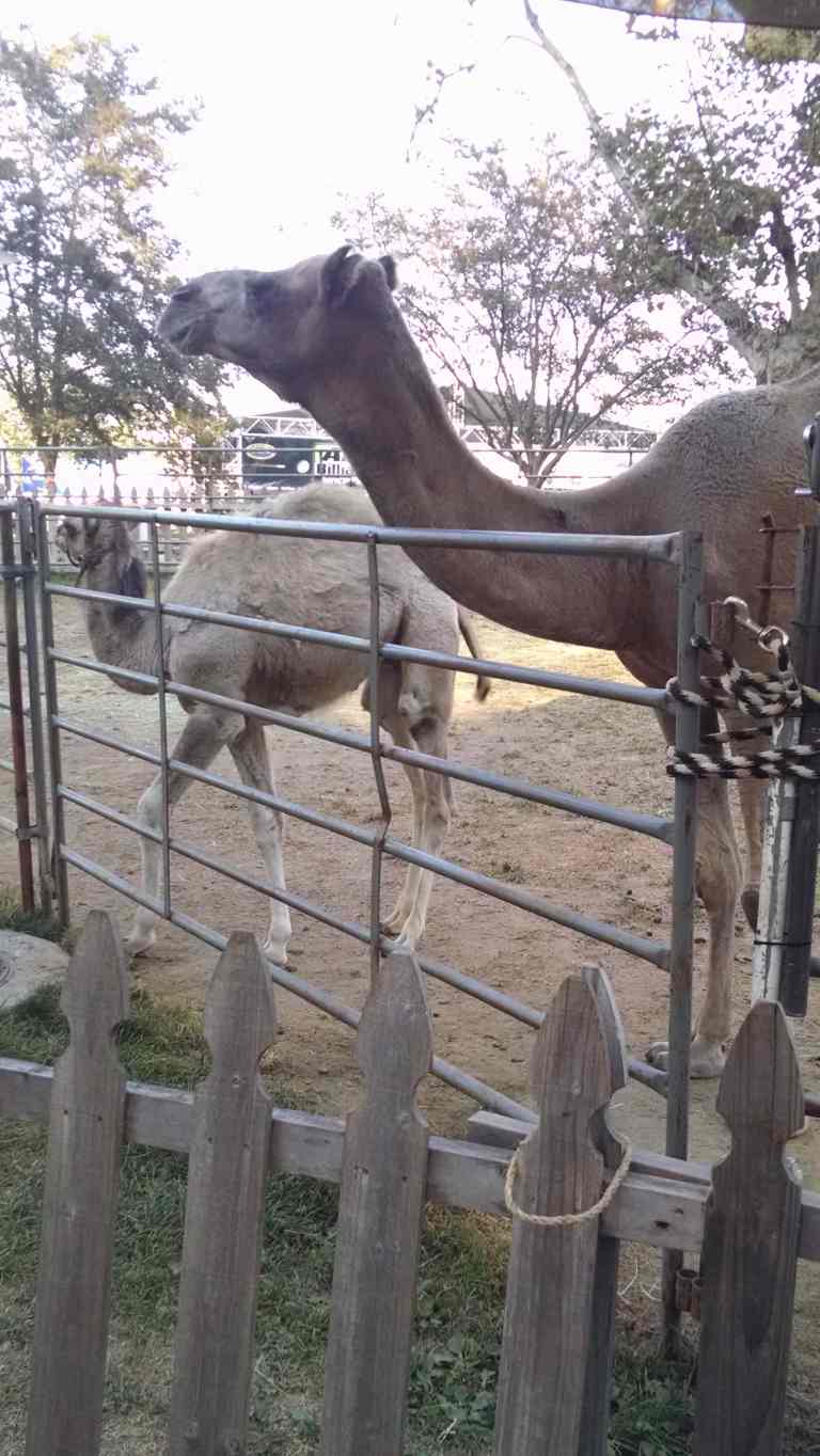 25_2014-09-25b 17.24.36