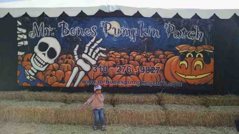 01_2014-10-09 10.51.04_lr