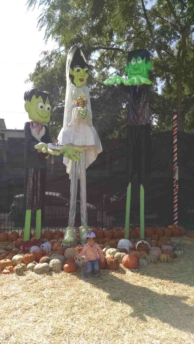 03_2014-10-09 10.54.06_lr