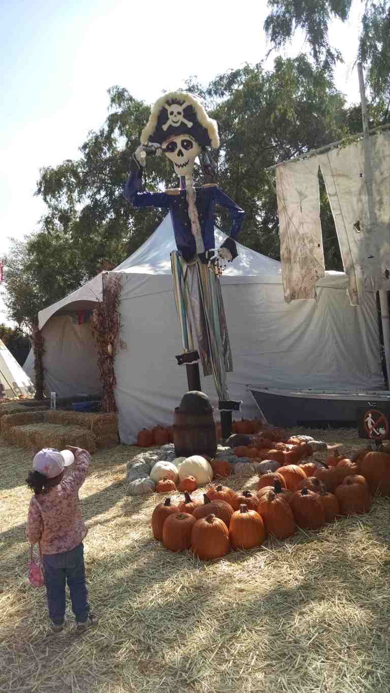 04_2014-10-09 10.54.56_lr