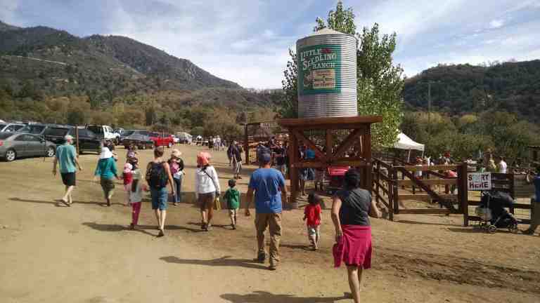 04_2014-10-26 12.50.30_lr