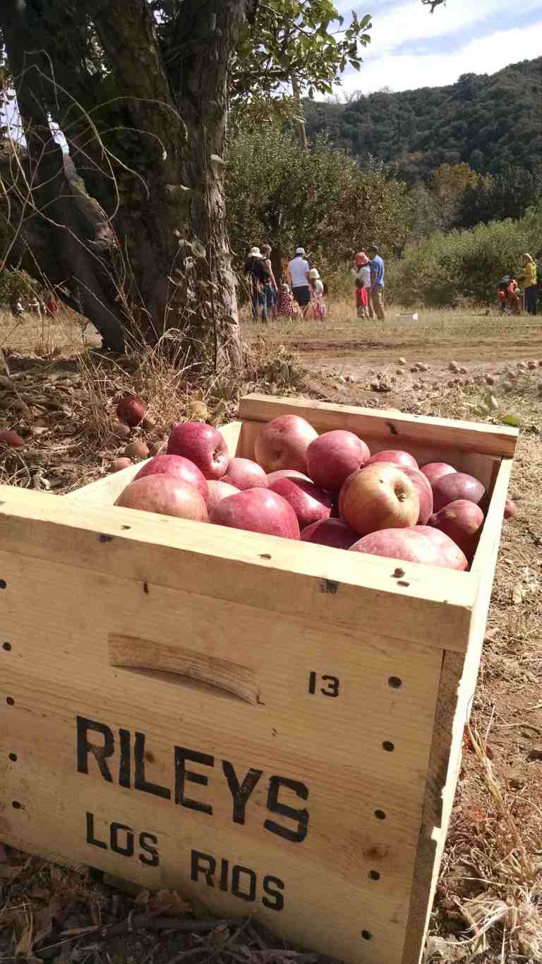 05_2014-10-26 12.58.45_lr