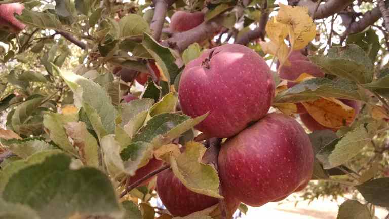 06_2014-10-26 12.59.57_lr