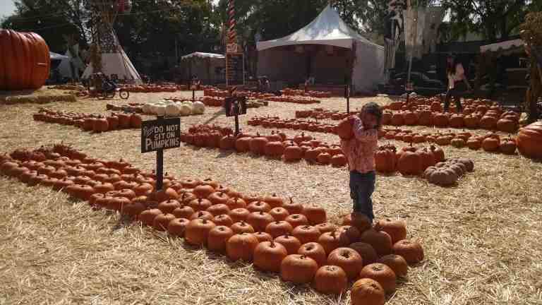 07_2014-10-09 11.08.14_lr