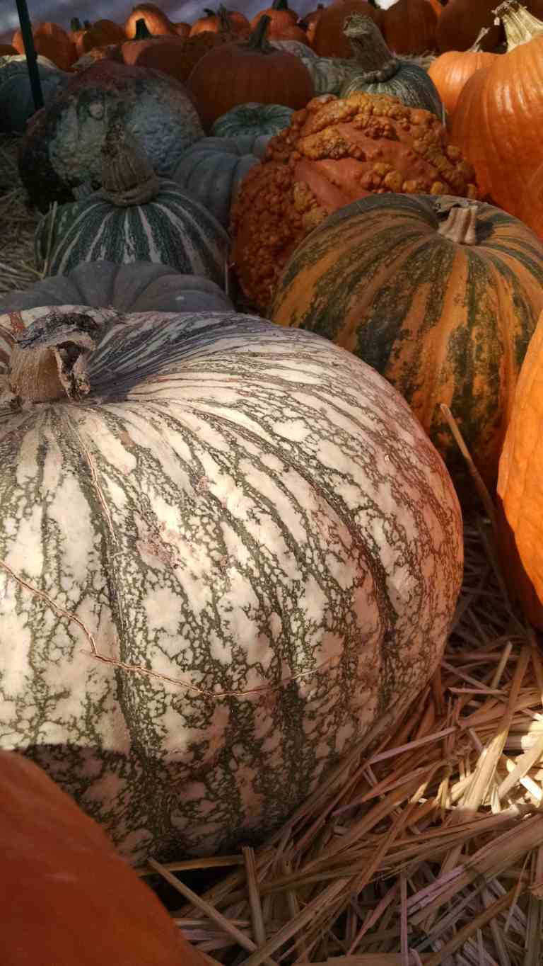 08_2014-10-09 10.56.10_lr