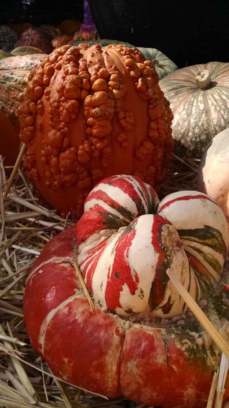 09_2014-10-09 10.56.21_lr