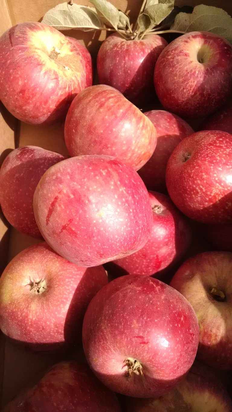 09_2014-10-26 13.01.57_lr