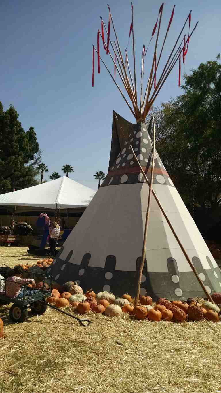 12_2014-10-09 11.42.26_lr