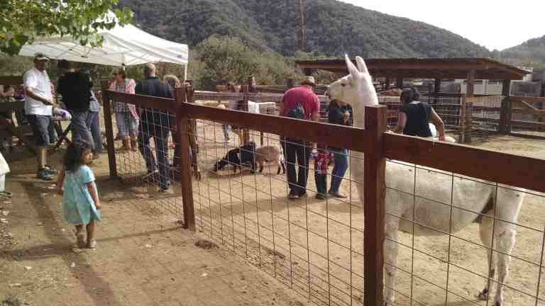 12_2014-10-26 13.18.25_lr