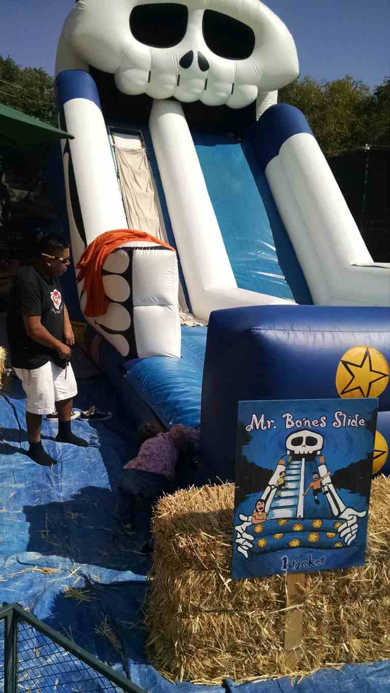 15_2014-10-09 11.53.28_lr