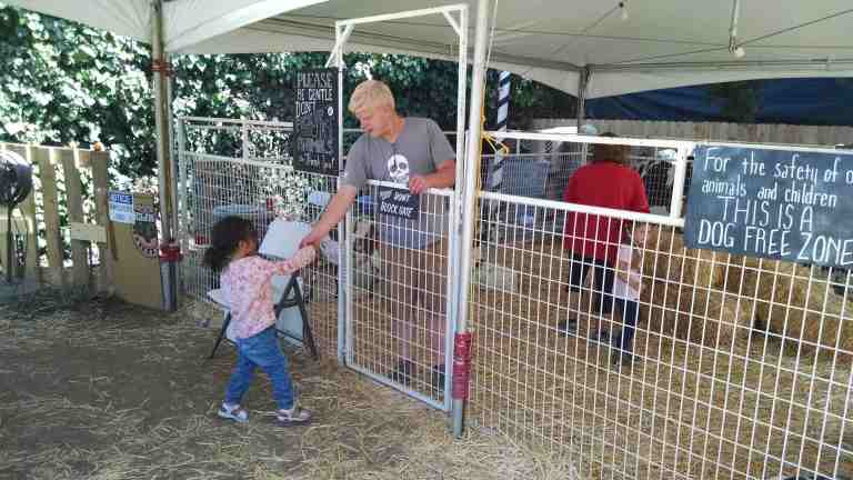 17_2014-10-09 11.28.44_lr