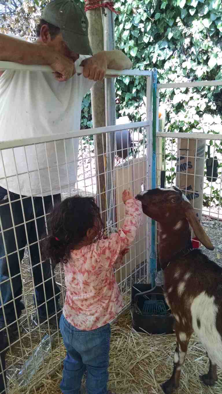 18_2014-10-09 11.29.46_lr