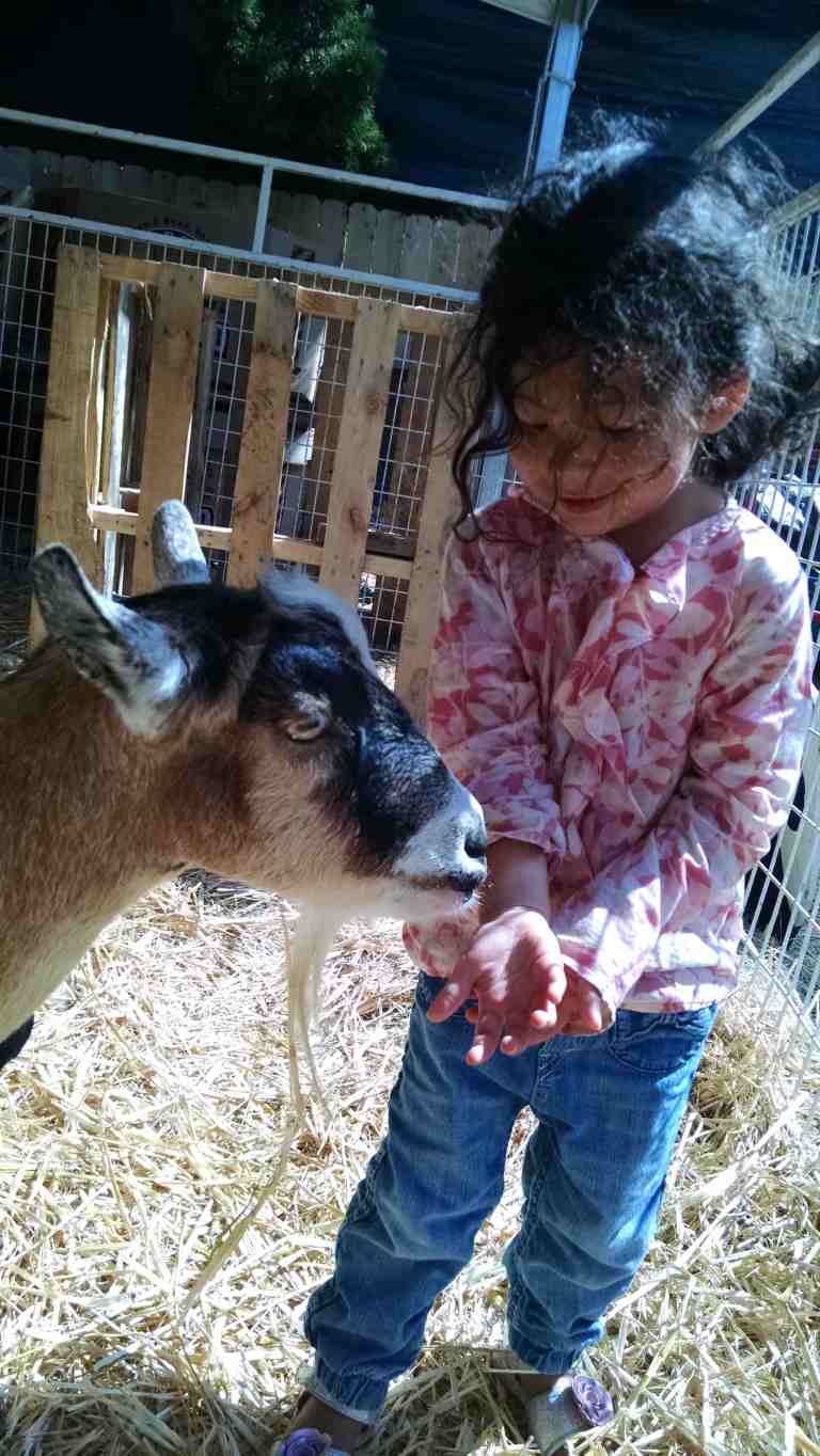 19_2014-10-09 11.32.04_lr