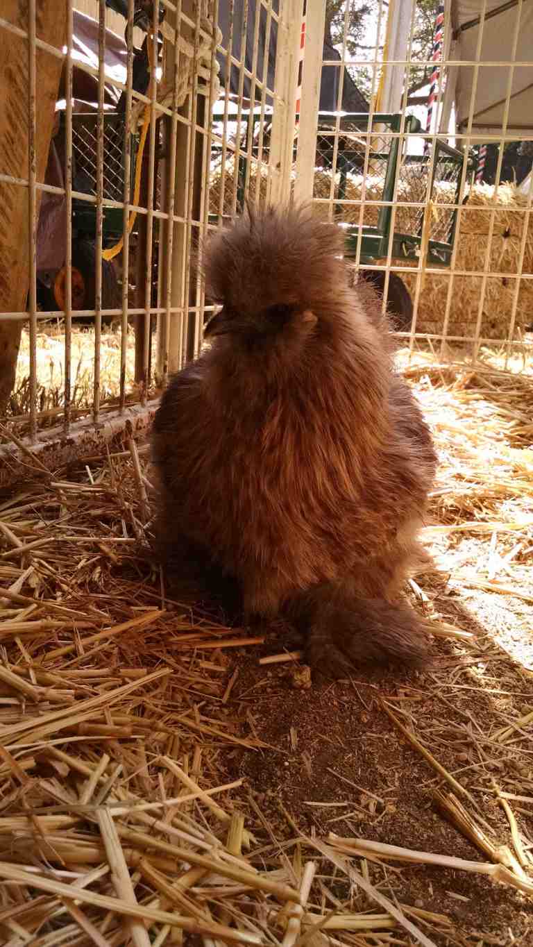 20_2014-10-09 11.35.03_lr