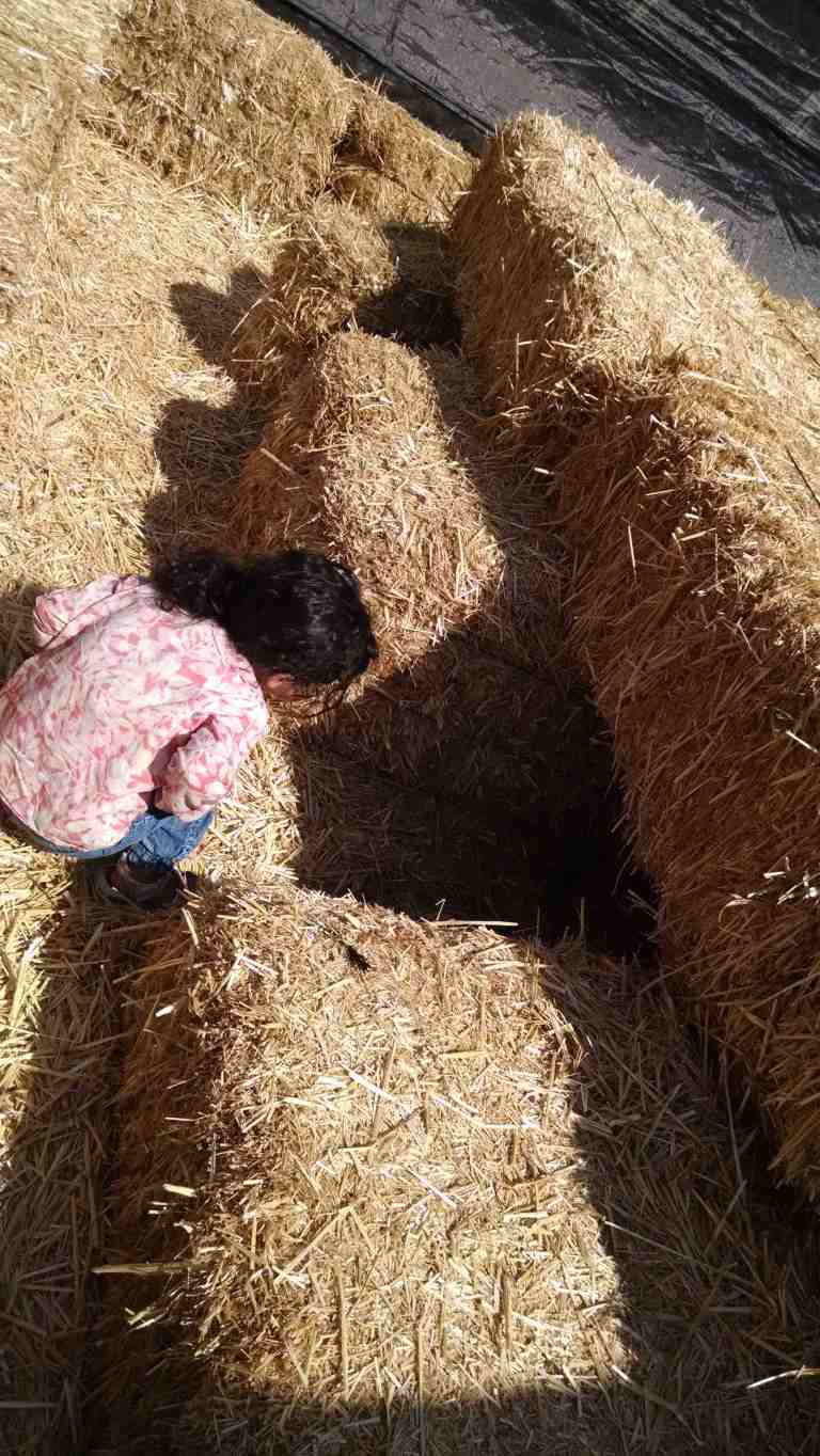 21_2014-10-09 11.44.54_lr