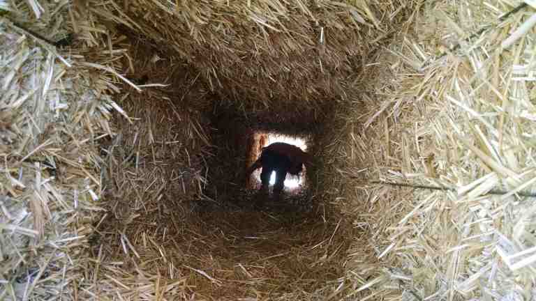 22_2014-10-09 11.45.39_lr