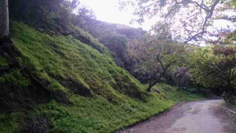 02_2015-02-28 15.37.02_lr