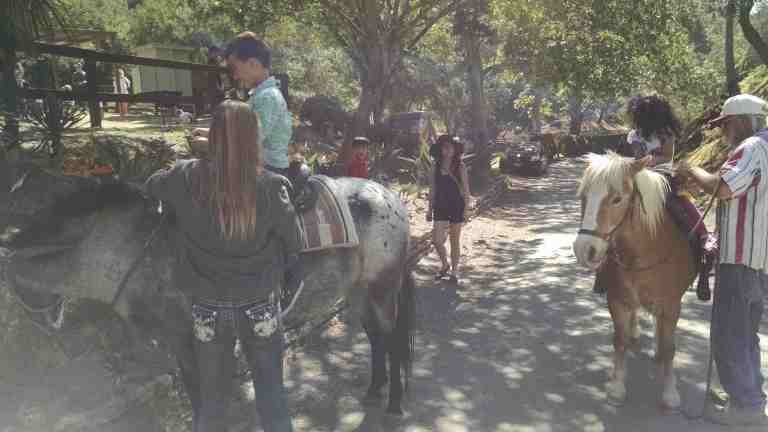 14_2015-03-28 10.51.19_lr