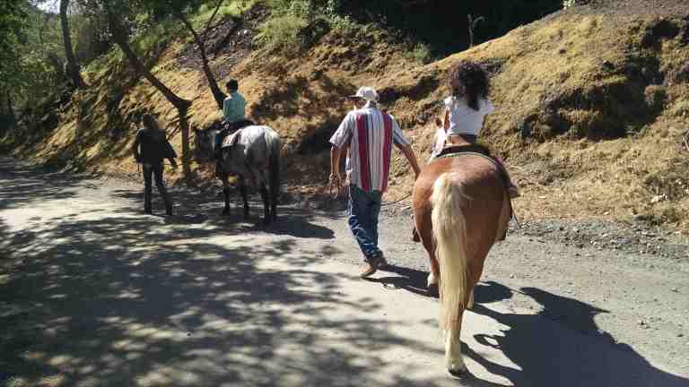 15_2015-03-28 10.51.50_lr