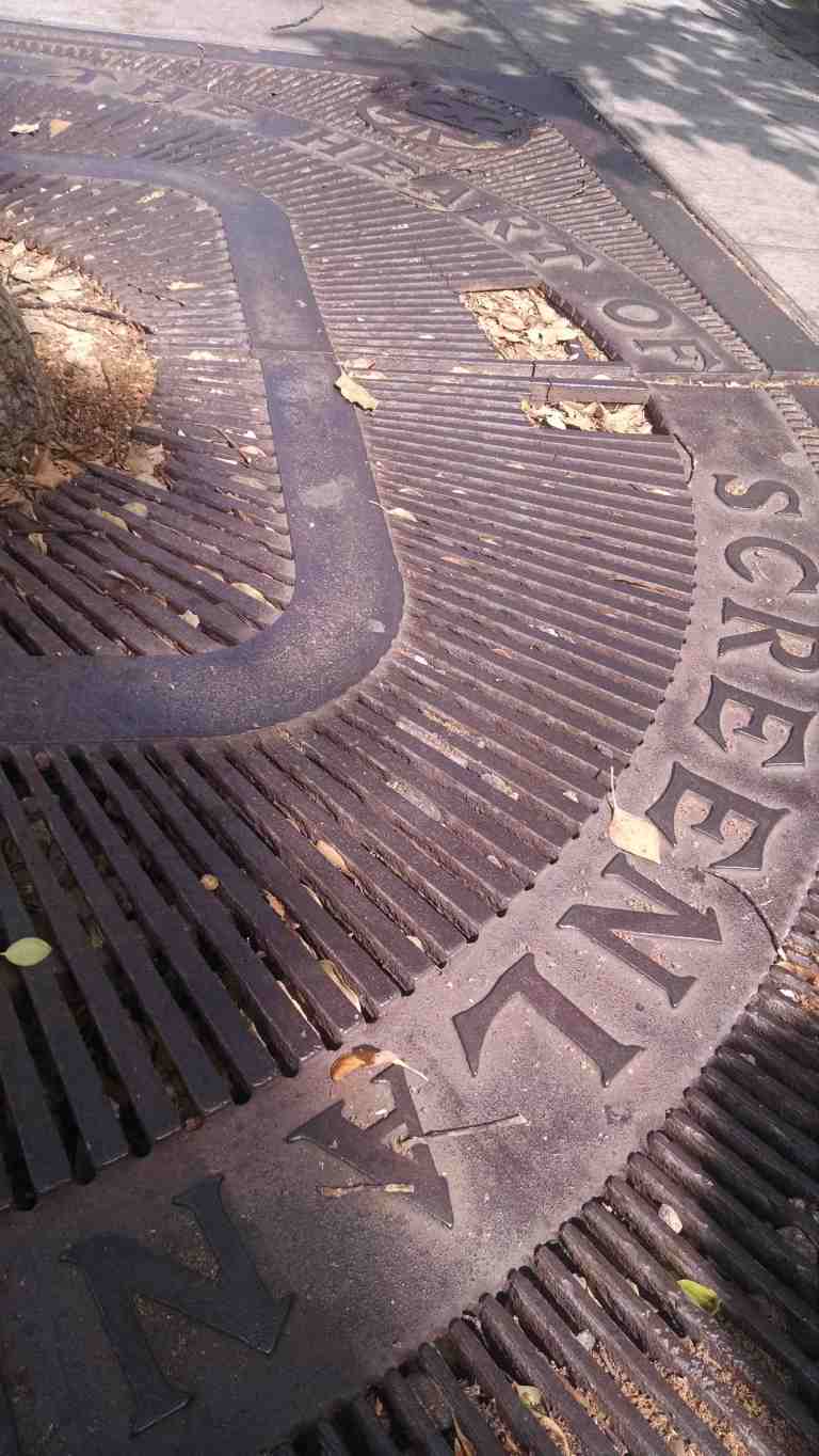 01_2015-03-31 11.18.02_lr.jpg