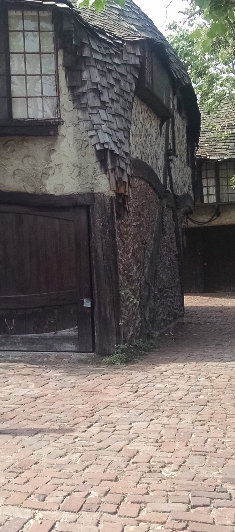 03_2015-03-31 11.29.38crop_lr