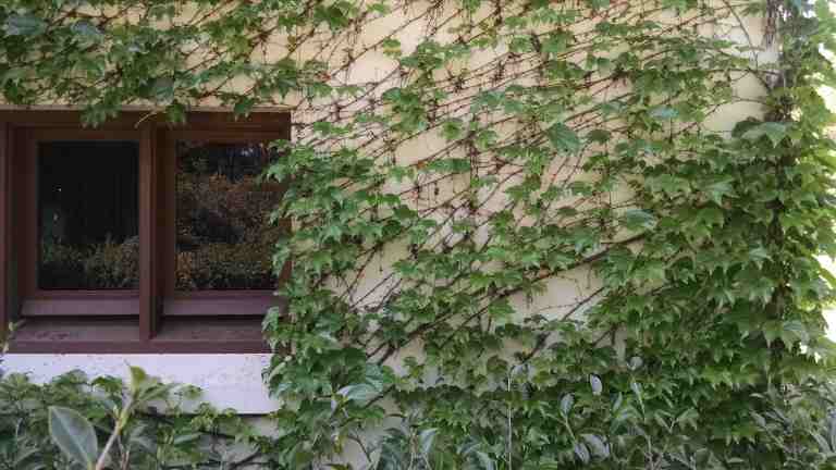 01_2015-04-02 14.04.17_lr