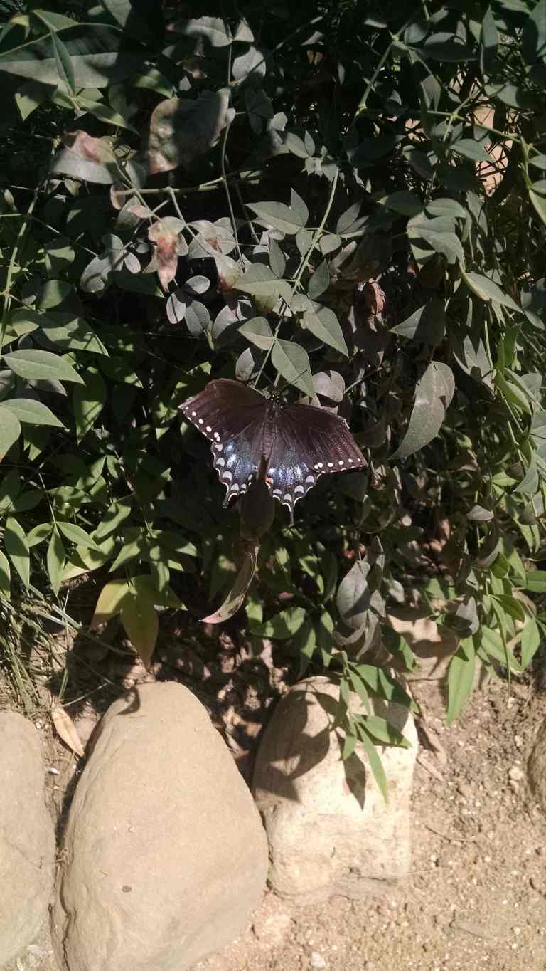 04_2015-04-20 12.46.07_lr