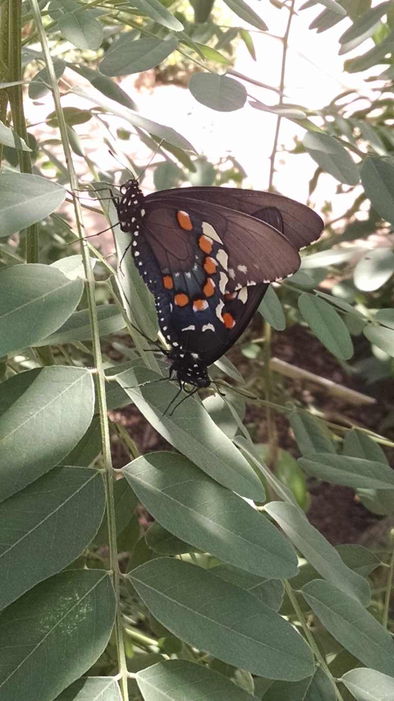 05_2015-04-20 12.46.49_lr