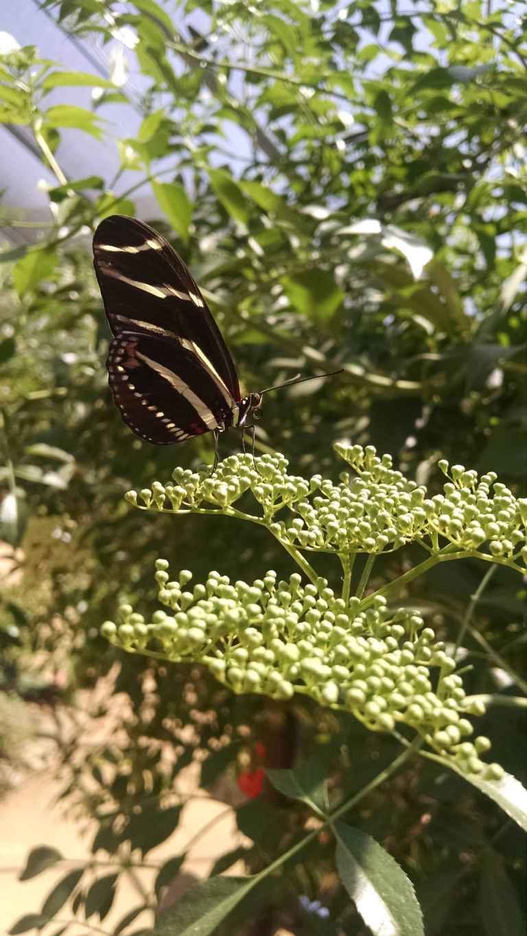 06_2015-04-20 12.53.36_lr