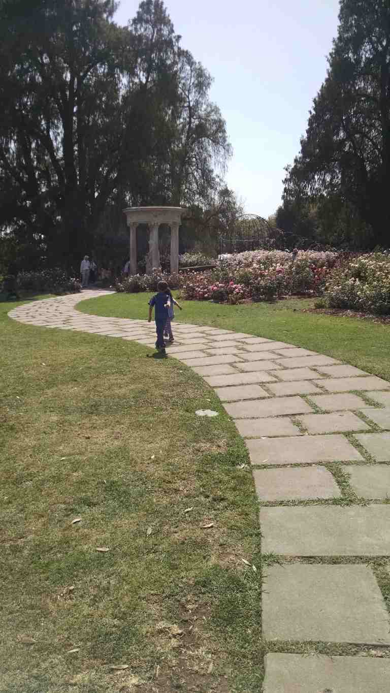 09_2015-04-02 14.59.05_lr